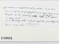 登錄號:F0018951藏品圖，第2張