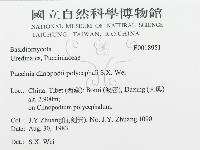 登錄號:F0018951藏品圖，第3張