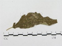 登錄號:F0018952藏品圖，第1張