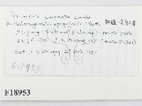 登錄號:F0018953藏品圖，第2張