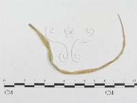 登錄號:F0018953藏品圖，第1張