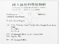 登錄號:F0018954藏品圖，第3張