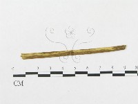 登錄號:F0018954藏品圖，第4張