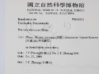 登錄號:F0018955藏品圖，第2張