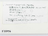 登錄號:F0018956藏品圖，第2張