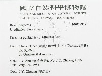 登錄號:F0018957藏品圖，第3張