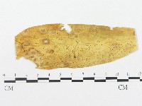 登錄號:F0018957藏品圖，第1張