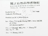 登錄號:F0018960藏品圖，第3張