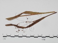登錄號:F0018961藏品圖，第3張