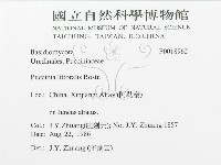 登錄號:F0018962藏品圖，第3張