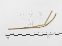 登錄號:F0018962藏品圖，第4張