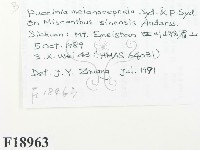 登錄號:F0018963藏品圖，第2張