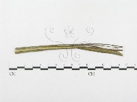 登錄號:F0018963藏品圖，第4張