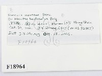 登錄號:F0018964藏品圖，第2張