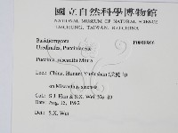 登錄號:F0018966藏品圖，第2張