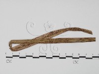 登錄號:F0018966藏品圖，第1張