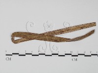 登錄號:F0018966藏品圖，第3張