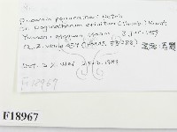 登錄號:F0018967藏品圖，第2張