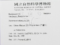 登錄號:F0018968藏品圖，第3張
