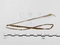 登錄號:F0018968藏品圖，第4張