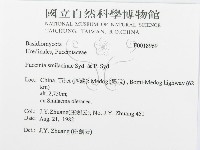 登錄號:F0018969藏品圖，第3張