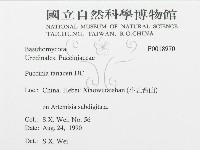 登錄號:F0018970藏品圖，第3張
