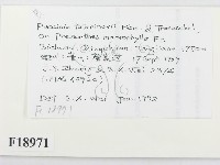 館號:F0018971藏品圖，第2張