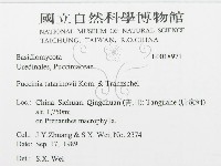 館號:F0018971藏品圖，第3張