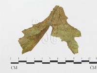 館號:F0018971藏品圖，第1張