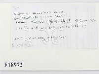 登錄號:F0018972藏品圖，第2張