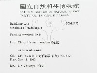 登錄號:F0018972藏品圖，第3張