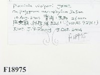 登錄號:F0018975藏品圖，第2張
