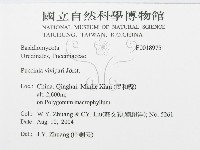 登錄號:F0018975藏品圖，第3張