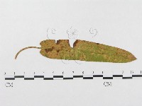 登錄號:F0018975藏品圖，第4張