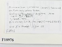 登錄號:F0018976藏品圖，第2張
