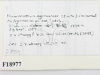 登錄號:F0018977藏品圖，第2張