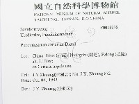 登錄號:F0018978藏品圖，第3張