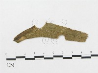 登錄號:F0018979藏品圖，第1張
