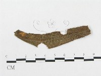登錄號:F0018979藏品圖，第4張
