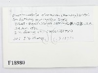 登錄號:F0018980藏品圖，第2張