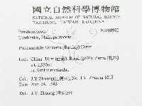 登錄號:F0018980藏品圖，第3張