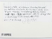 登錄號:F0018981藏品圖，第2張