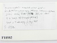 登錄號:F0018982藏品圖，第2張