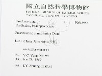 登錄號:F0018982藏品圖，第3張