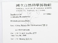 登錄號:F0018983藏品圖，第3張
