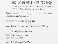 登錄號:F0018984藏品圖，第3張