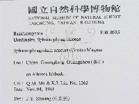 登錄號:F0018985藏品圖，第3張