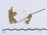 登錄號:F0018985藏品圖，第1張