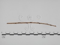 登錄號:F0018986藏品圖，第1張