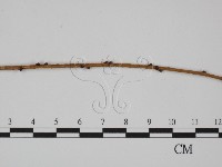 登錄號:F0018986藏品圖，第4張